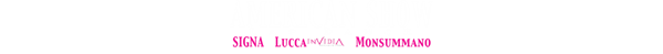 Logo Sexy American Show