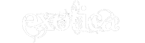 Logo Exotica Lap Dance