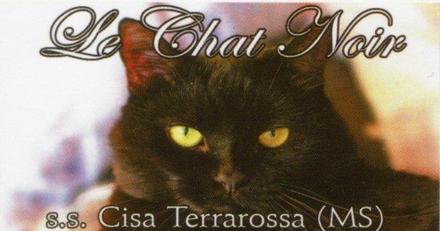 Logo Le Chat Noir