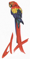 Logo Perroquet Royal DX