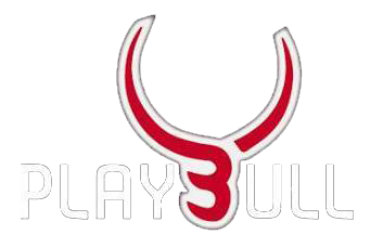Logo Play Bull Lap Dance