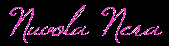 Logo Nuvola Nera